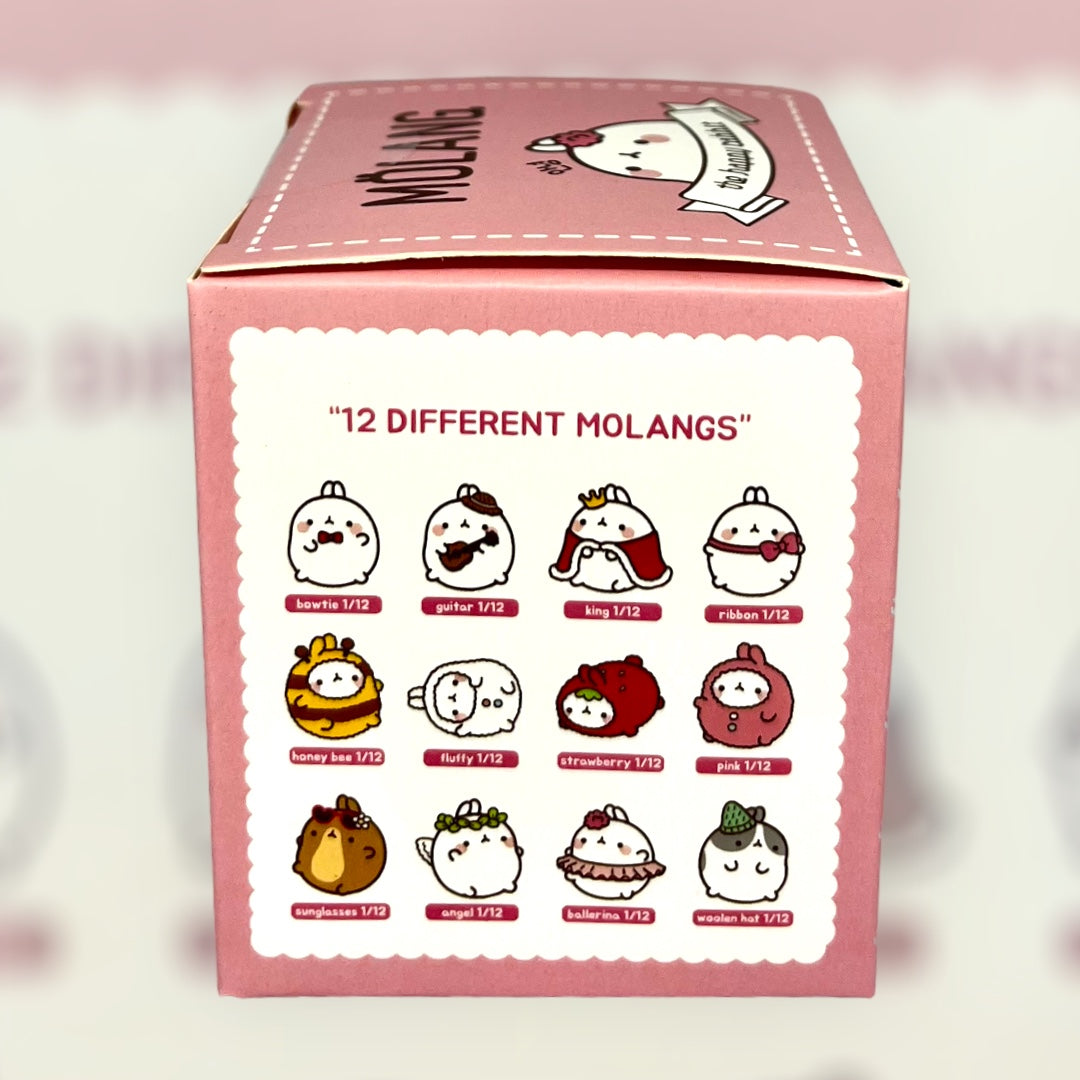 Molang Rabbit Dressed Up Ver. 2 Series